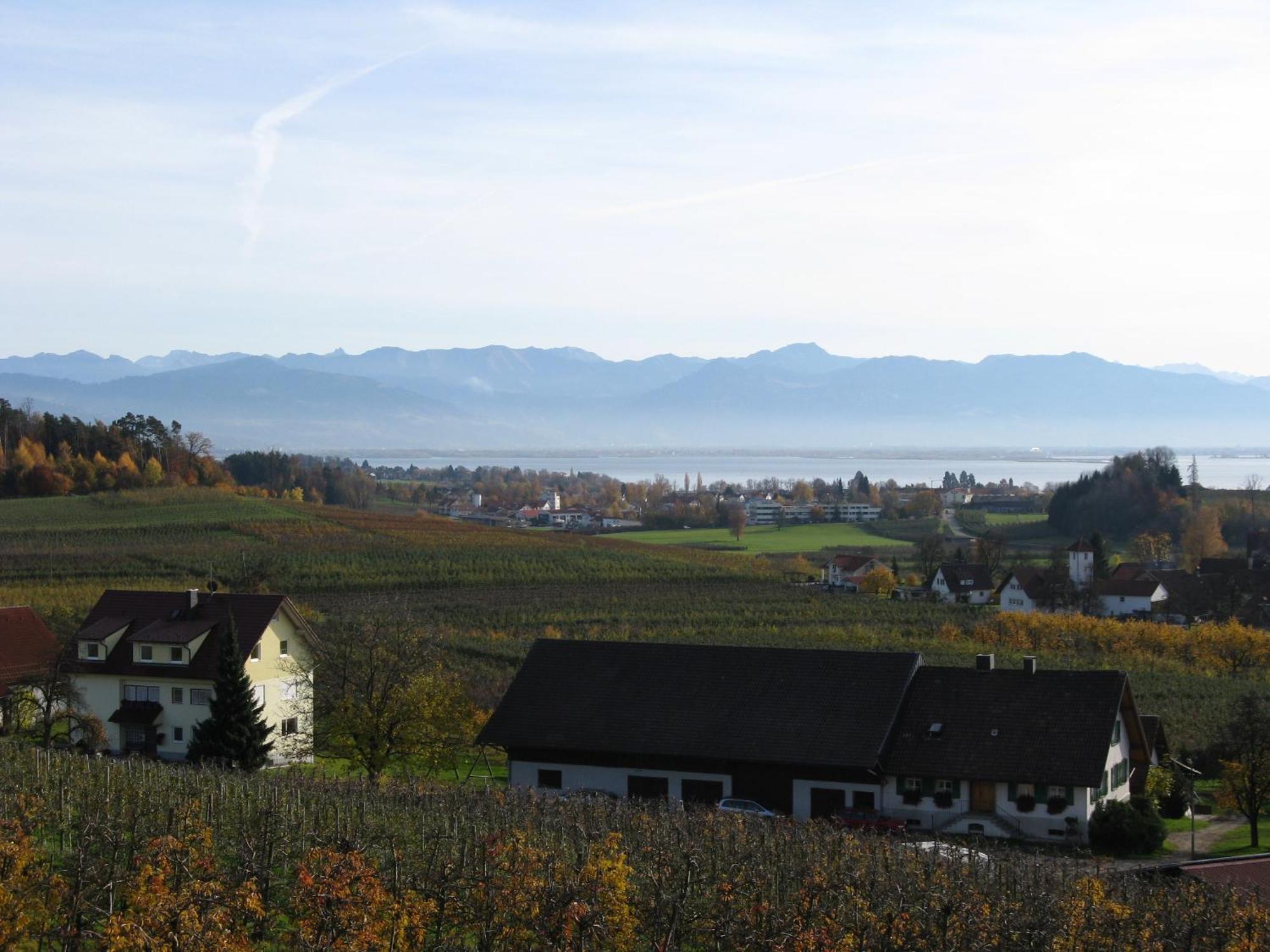 Landhaus Erben 瓦瑟堡 外观 照片